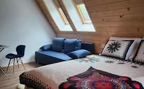 Pokoje Apartamenty Samo Centrum Zakopane ,,Willa Kasztelanka